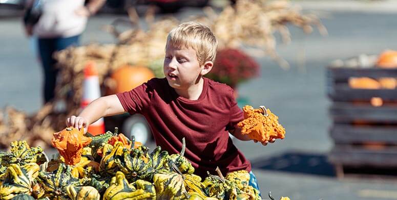 Fall decor, gourds, specialty white pumpkins and more